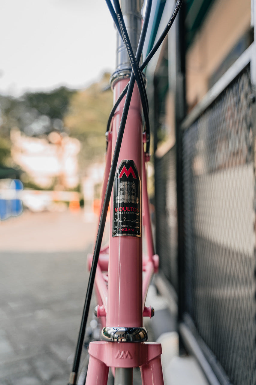 ゾ*ロ様 Alex Moulton 62T Chainring [Campagn Moulton AM Speed - Giro Pink – SpinWarriors