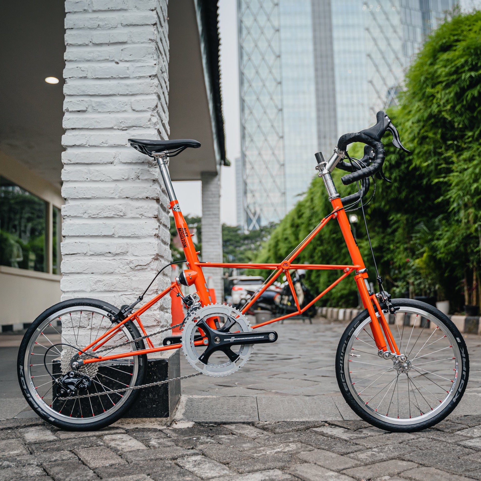 Moulton AM Speed - Orange – SpinWarriors