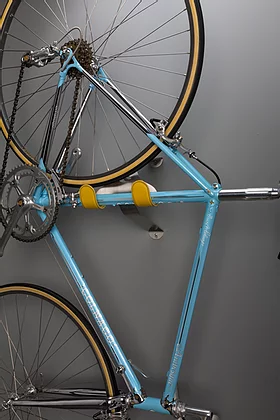 Cactus tongue bike rack hotsell