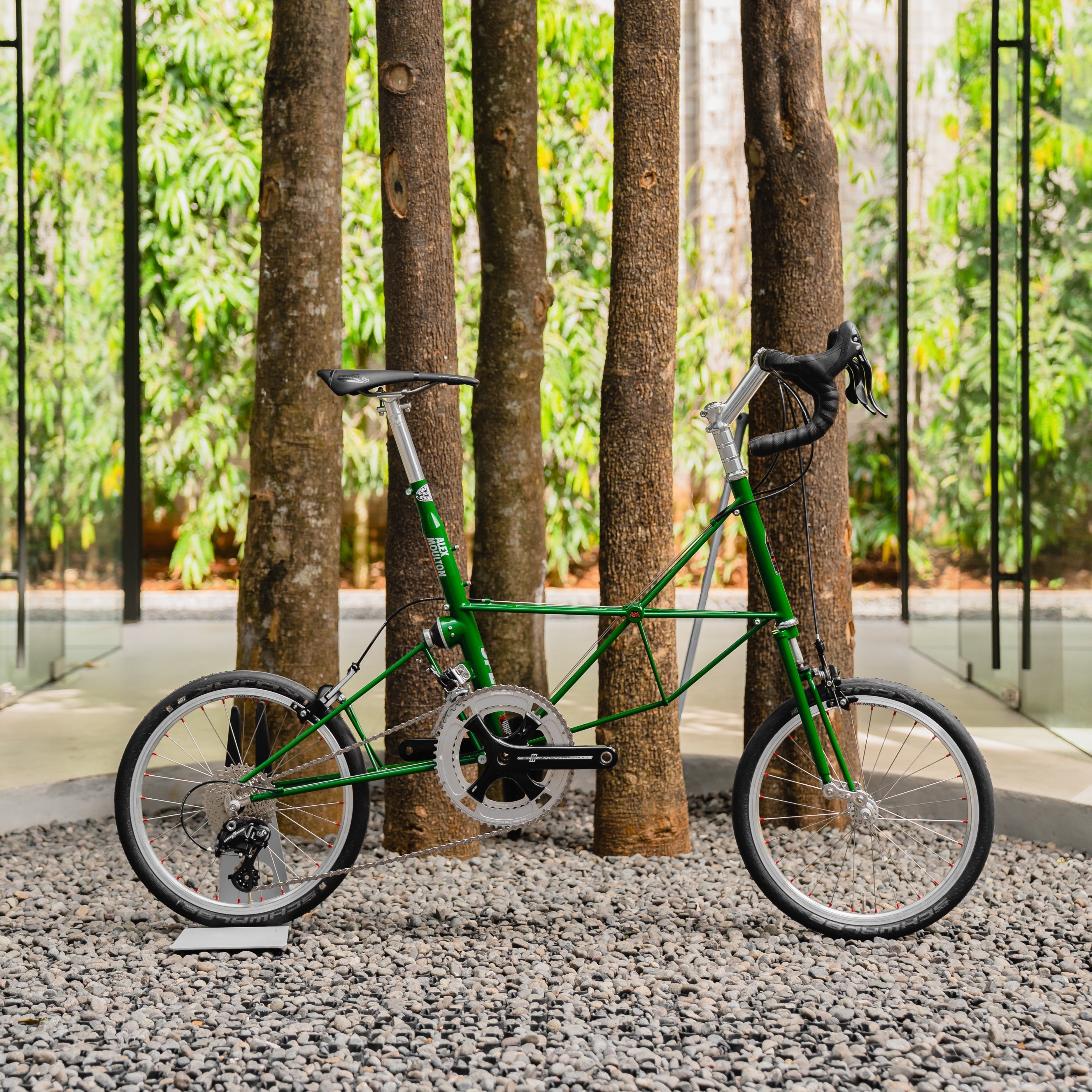 Moulton AM Speed - Safari Green – SpinWarriors