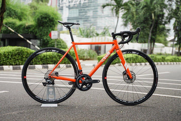 Cinelli Nemo Tig Road Disc Bike Shimano Ultegra - Orange Blossom Special - SpinWarriors