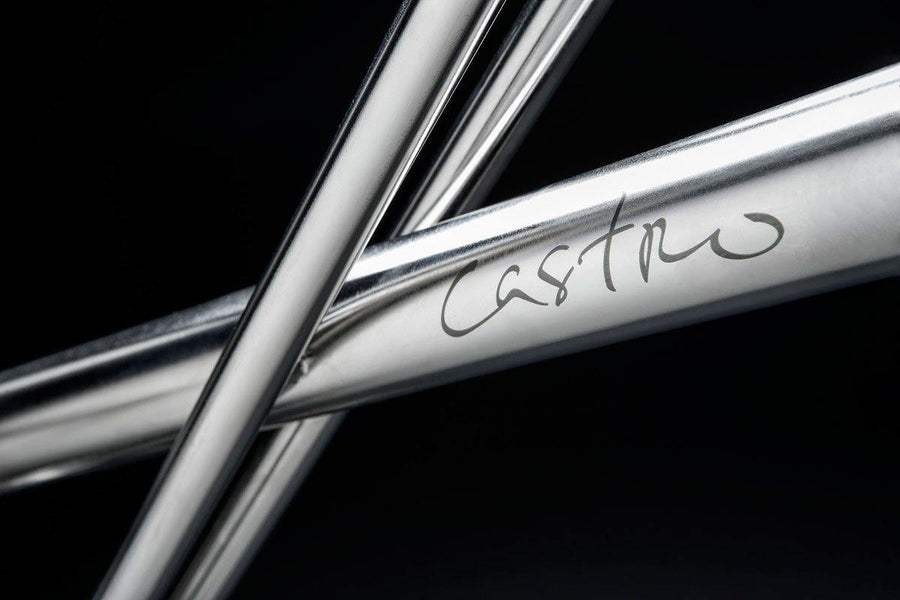 Castro M1s Stainless Steel Bike (Automatic 2-speed) - SpinWarriors