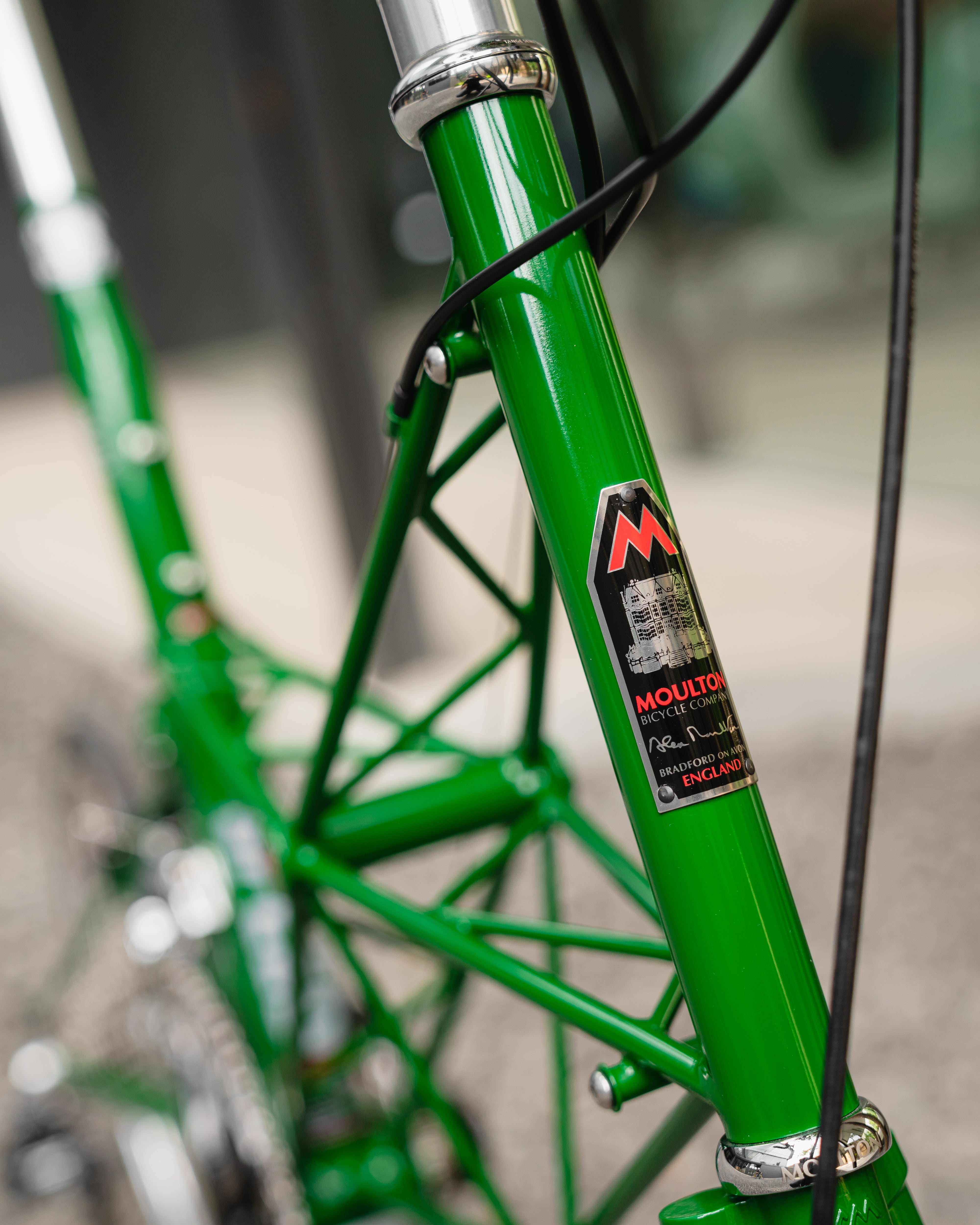 Moulton AM Speed - Safari Green – SpinWarriors