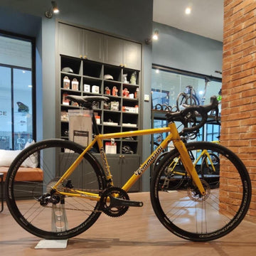 Tommasini Fire Road Disc Bike with Campagnolo Chorus - Golden Yellow - SpinWarriors